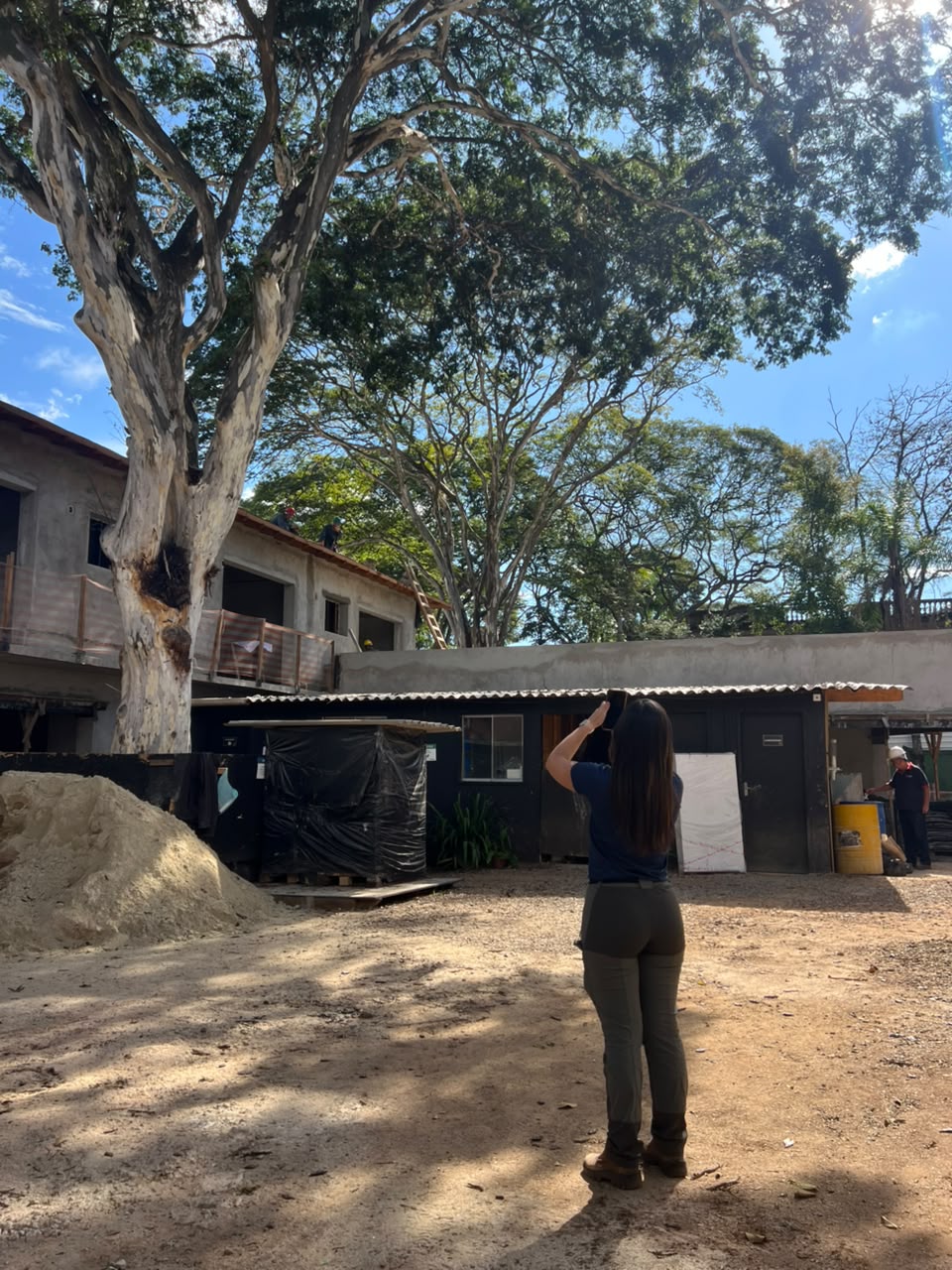 Árvores em uma propriedade com integrantes da equipe no local